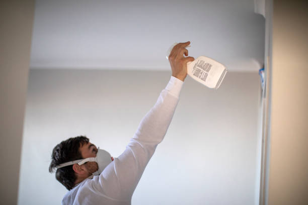 Certified Mold Removal in Semmes, AL