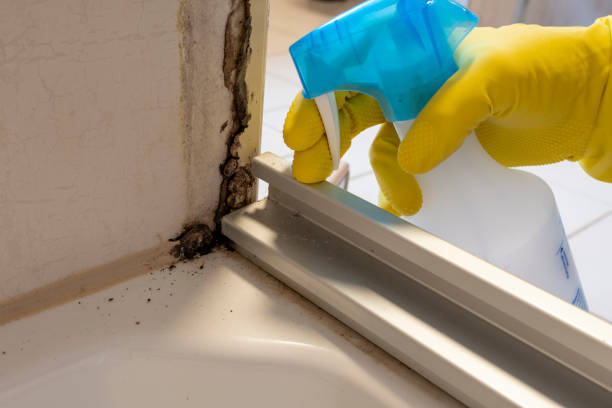 Best Residential Mold Removal  in Semmes, AL