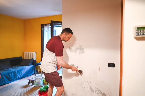 Best Emergency Mold Removal  in Semmes, AL