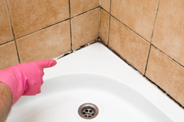 Best Mold Remediation  in Semmes, AL